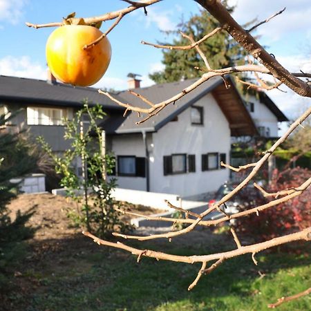 Apartment Vodnik Sveti Jurij ob Scavnici Zewnętrze zdjęcie